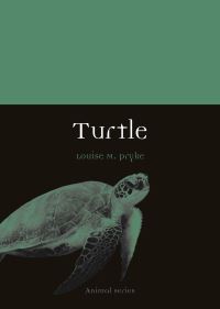 Book Cover for Turtle by Louise M Pryke