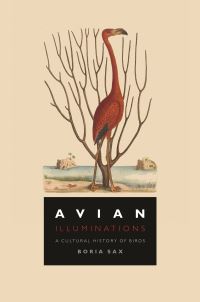 Book Cover for Avian Illuminations by Boria Sax