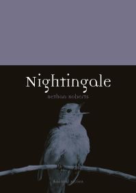 Book Cover for Nightingale by Bethan Roberts