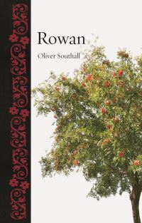 Book Cover for Rowan by Oliver Southall