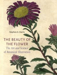 Book Cover for The Beauty of the Flower by Stephen A Harris