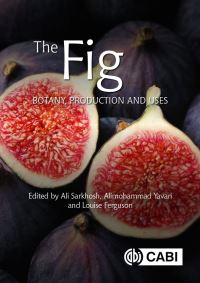 Book Cover for The Fig by Ali Sarkhosh, Alimohammad Yavari, Louise Ferguson