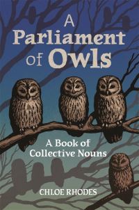Book Cover for A Parliament of Owls by Chloe Rhodes