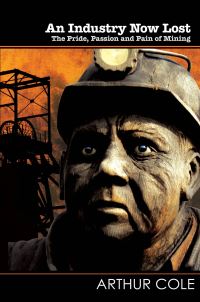 Book Cover for An Industry Now Lost by Arthur Cole