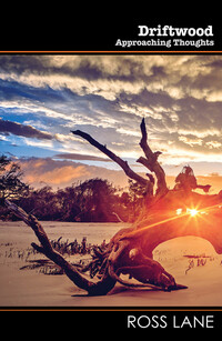 Book Cover for Driftwood by Ross Lane