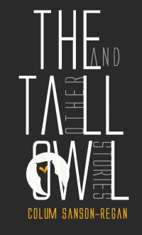 Book Cover for The Tall Owl by Colum SansonRegan
