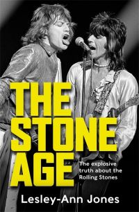 Book Cover for The Stone Age by LesleyAnn Jones