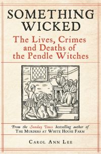 Book Cover for Something Wicked by Carol Ann Lee