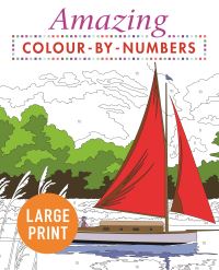 Book Cover for Amazing Colour-by-Numbers Large Print by Arcturus Publishing Limited