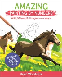 Book Cover for Amazing Painting by Numbers by David Woodroffe