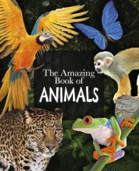 Book Cover for The Amazing Book of Animals by Michael Leach, Meriel Lland
