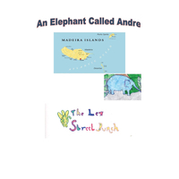 Book Cover for An Elephant Called Andre by Gedling Day Services