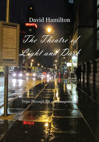 Book Cover for The Theatre of Light and Dark by David Hamilton