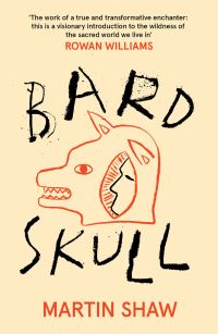 Book Cover for Bardskull by Martin Shaw