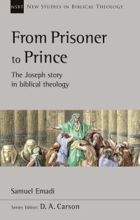 Book Cover for From Prisoner to Prince by Samuel Emadi