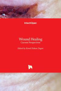 Book Cover for Wound Healing by Kamil Hakan Dogan