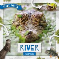 Book Cover for River Food Webs by William Anthony