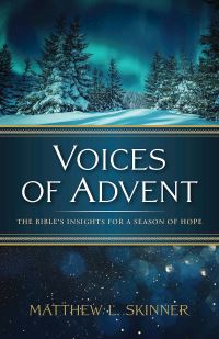 Book Cover for Voices of Advent by Matthew L Skinner