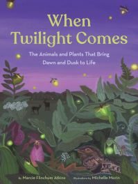 Book Cover for When Twilight Comes by Marcie Flinchum Atkins