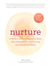 Book Cover for Nurture by Erica Chidi