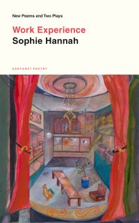 Book Cover for Work Experience by Sophie Hannah