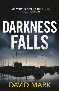 Book Cover for Darkness Falls by David John Mark