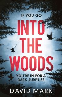 Book Cover for Into the Woods by David John Mark
