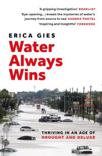 Book Cover for Water Always Wins by Erica Gies
