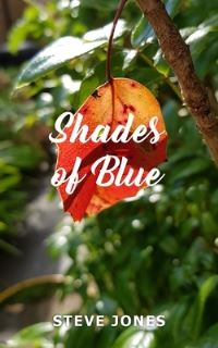 Book Cover for Shades of Blue by Steve Jones