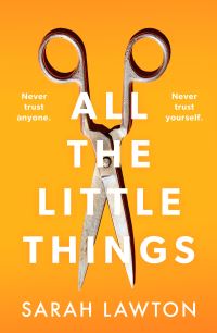 Book Cover for All the Little Things by Sarah Lawton