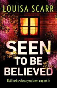 Book Cover for Seen to Be Believed by Louisa Scarr