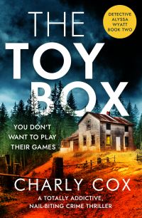 Book Cover for The Toybox by Charly Cox