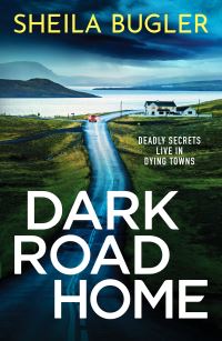 Book Cover for Dark Road Home by Sheila Bugler