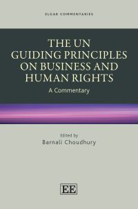 Book Cover for The UN Guiding Principles on Business and Human Rights by Barnali Choudhury