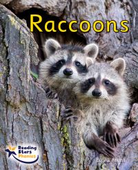Book Cover for Raccoons by Jill Atkins
