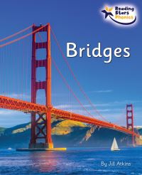 Book Cover for Bridges by Jill Atkins