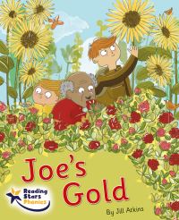 Book Cover for Joe's Gold by Jill Atkins