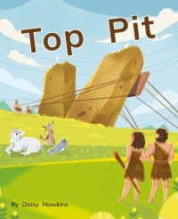 Book Cover for Top Pit by Daisy Hawkins