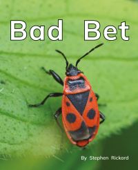 Book Cover for Bad Bet by Stephen Rickard