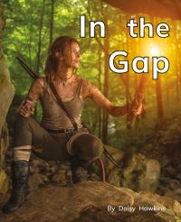 Book Cover for In the Gap by Daisy Hawkins