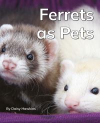 Book Cover for Ferrets as Pets by Daisy Hawkins
