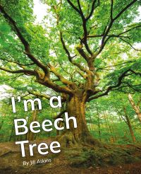 Book Cover for I'm a Beech Tree by 