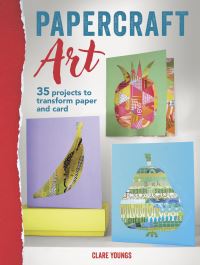 Book Cover for Papercraft Art by Clare Youngs