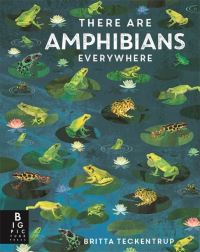 Book Cover for There Are Amphibians Everywhere by Camilla De la Bédoyère