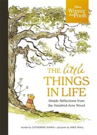 Book Cover for The Little Things in Life by Cathy Hapka