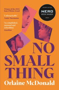 Book Cover for No Small Thing by Orlaine McDonald