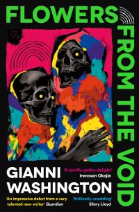 Book Cover for Flowers from the Void by Gianni Washington