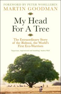 Book Cover for My Head for a Tree by Martin Goodman