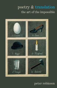 Book Cover for Poetry & Translation by Peter Robinson