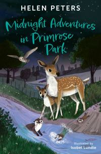Book Cover for Midnight Adventures in Primrose Park by Helen Peters